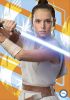 Picture of DISNEY STAR WARS THE GALACTIC GUIDE-THE RISE OF SKYWALKER