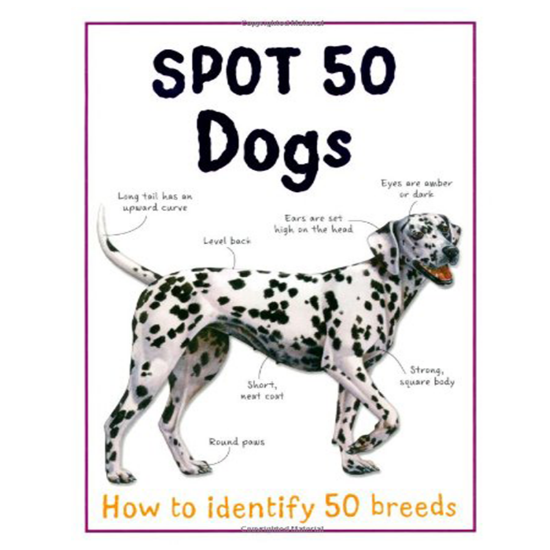 Picture of SPOT 50 DOGS